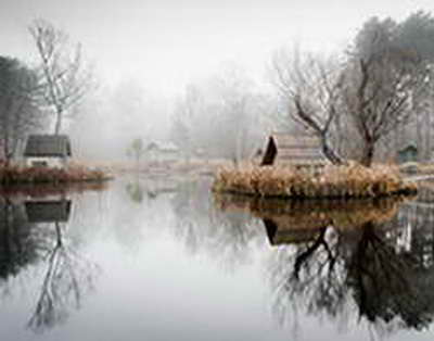 Воронежские школьники защитили проекты в рамках марафона Компетенции для жизни
